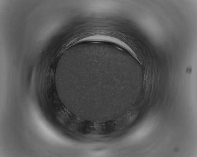 X0000095900383200801111215