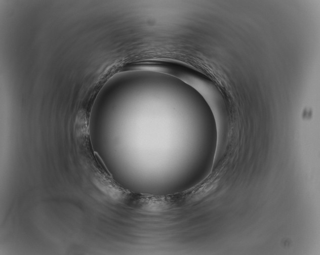 X0000095900384200801111215