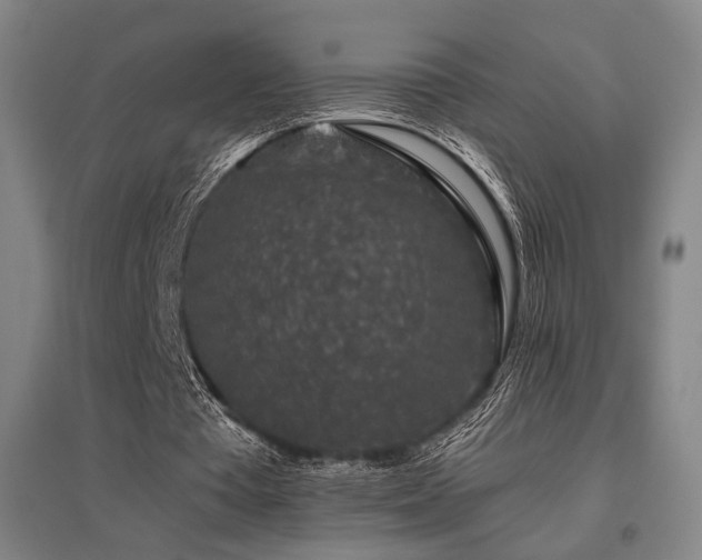 X0000095900385200801111214