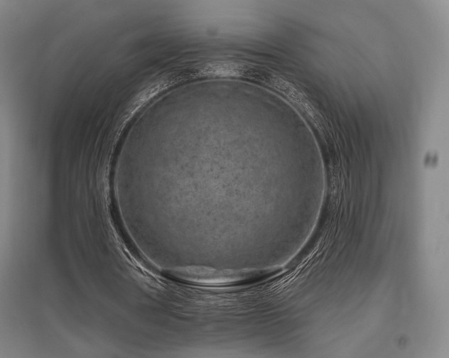 X0000095900386200801111214