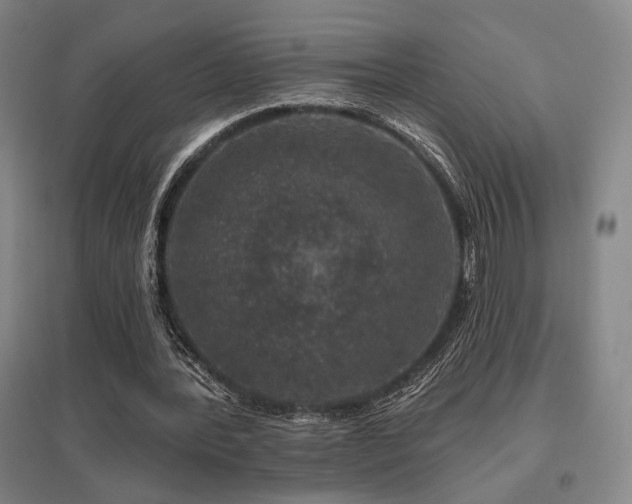 X0000095900388200801111214