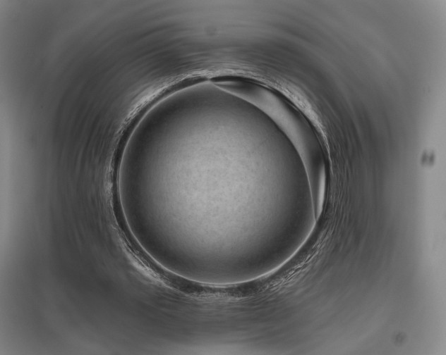 X0000095900389200801111214