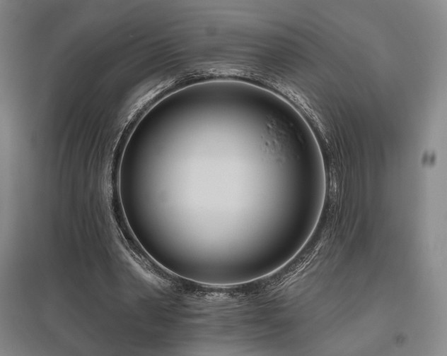 X0000095900390200801111214