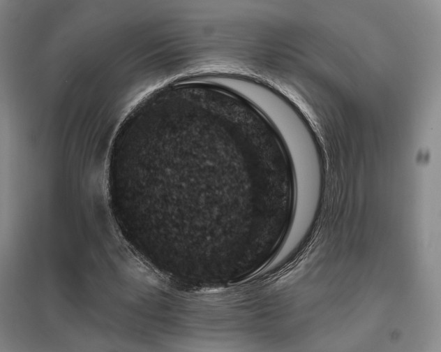 X0000095900391200801111214