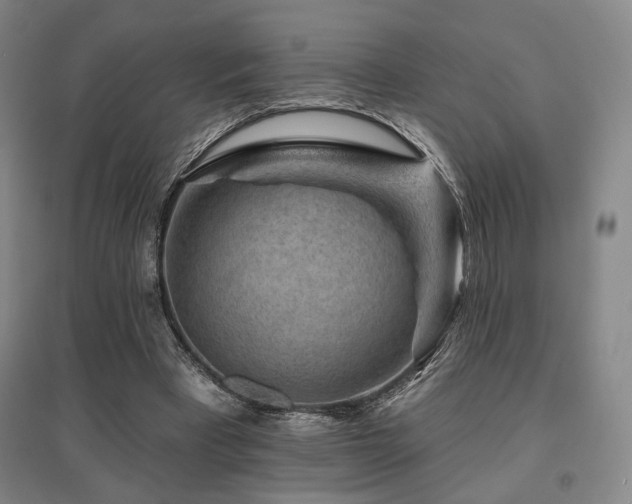 X0000095900393200801111214