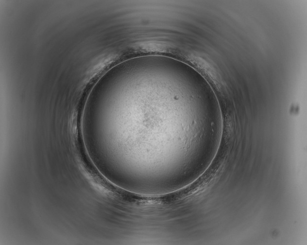 X0000095900398200801111214