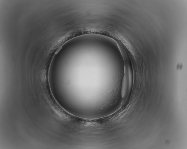 X0000095900401200801111214