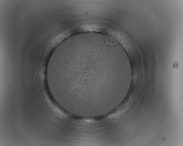X0000095900402200801111214