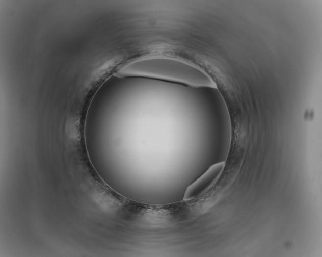 X0000095900403200801111214