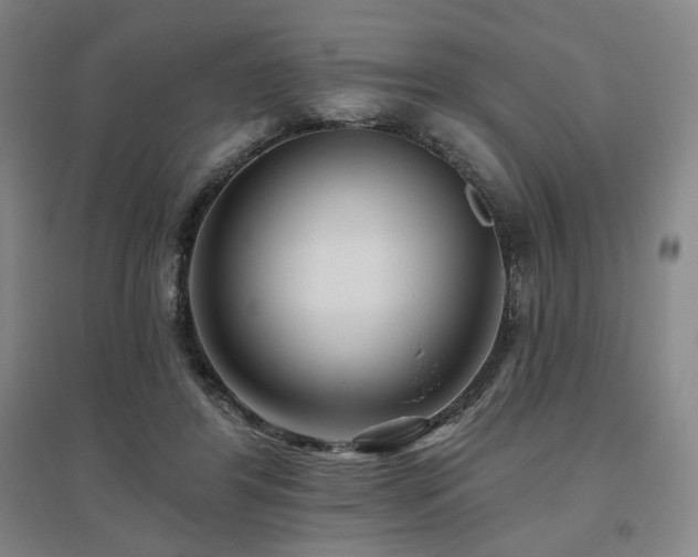 X0000095900404200801111214