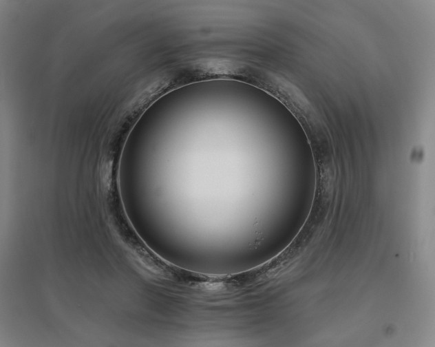 X0000095900406200801111214