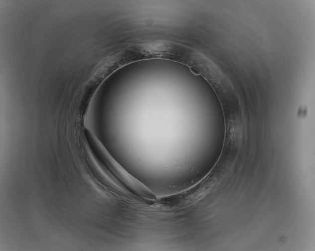 X0000095900408200801111214