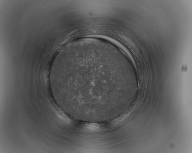 X0000095900409200801111214