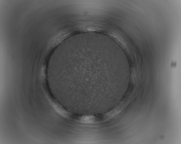 X0000095900410200801111214