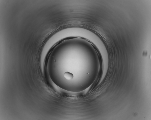 X0000095900411200801111214