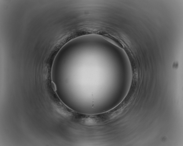 X0000095900412200801111214
