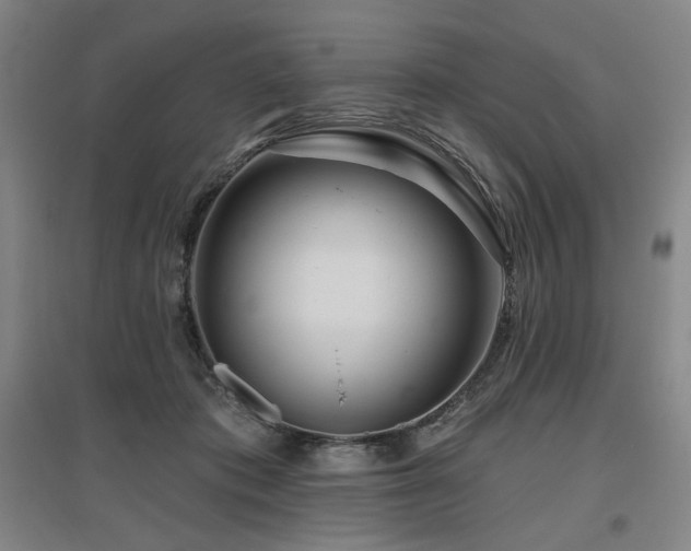 X0000095900413200801111214