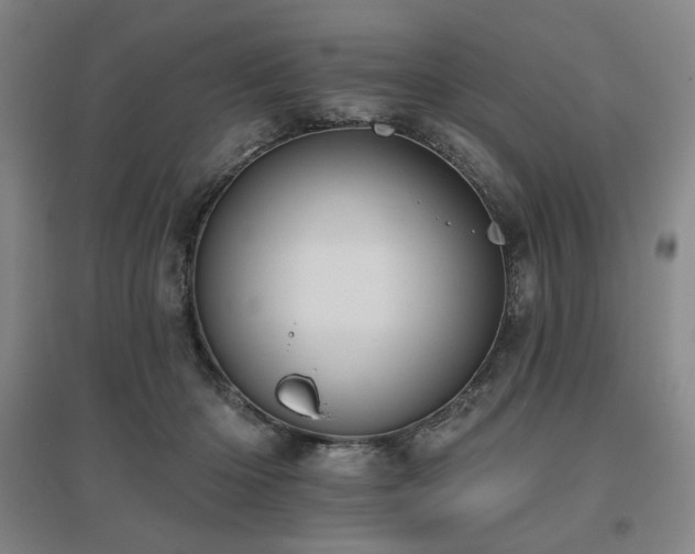 X0000095900414200801111214