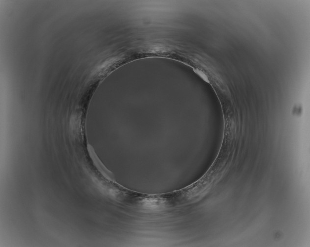 X0000095900415200801111214