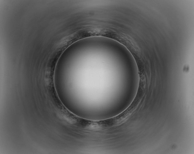 X0000095900416200801111214