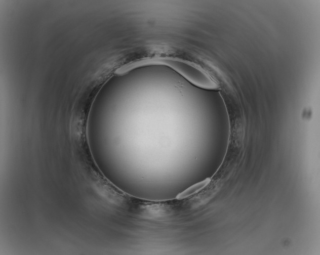 X0000095900417200801111214