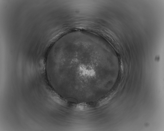 X0000095900420200801111214
