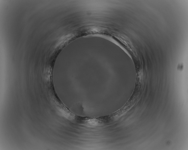 X0000095900423200801111214