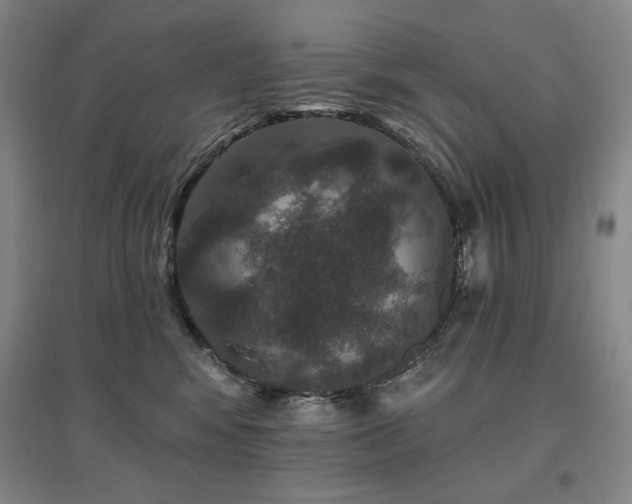 X0000095900424200801111214