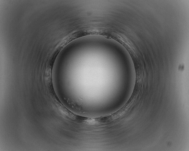 X0000095900425200801111214