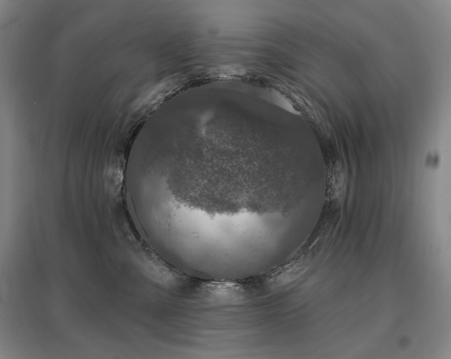X0000095900427200801111214