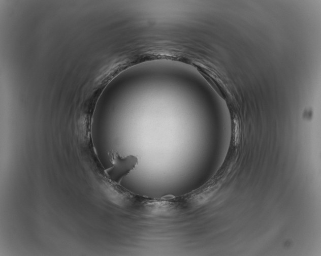 X0000095900428200801111214