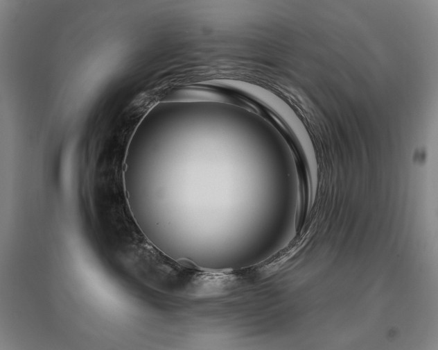 X0000095900429200801111214