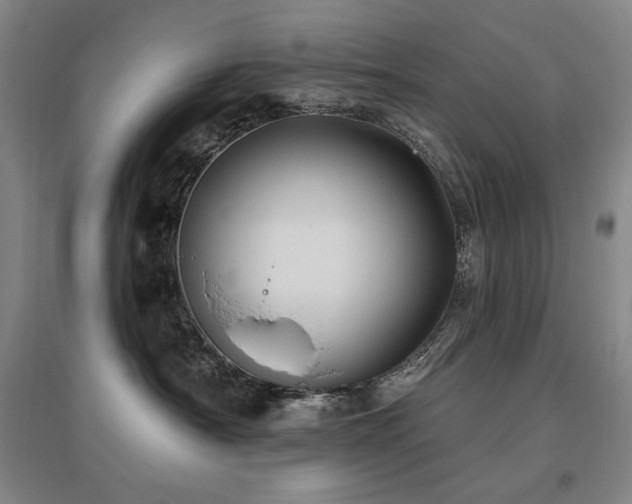 X0000095900430200801111214