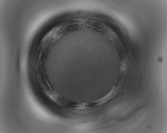 X0000095900431200801111214
