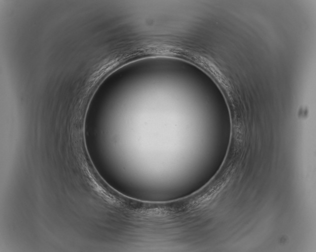X0000095900433200801111213