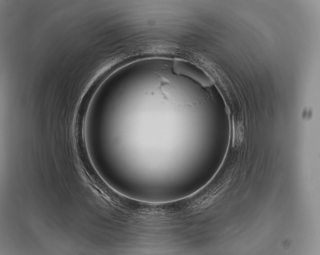 X0000095900435200801111213