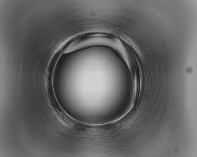 X0000095900436200801111213