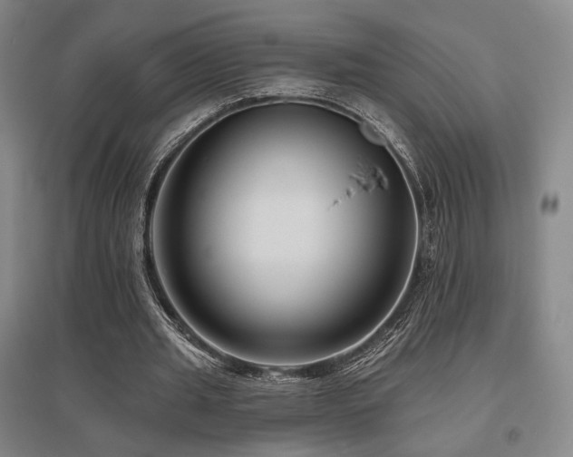 X0000095900437200801111213