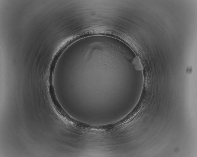 X0000095900438200801111213