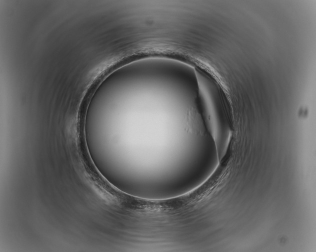 X0000095900439200801111213