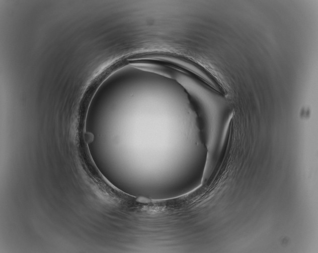 X0000095900440200801111213