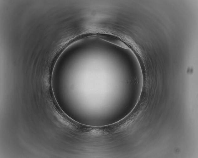 X0000095900441200801111213