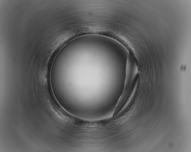 X0000095900443200801111213