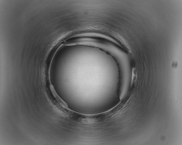 X0000095900444200801111213