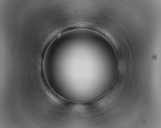 X0000095900445200801111213
