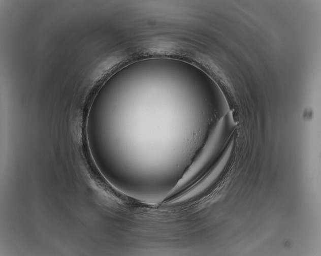 X0000095900446200801111213