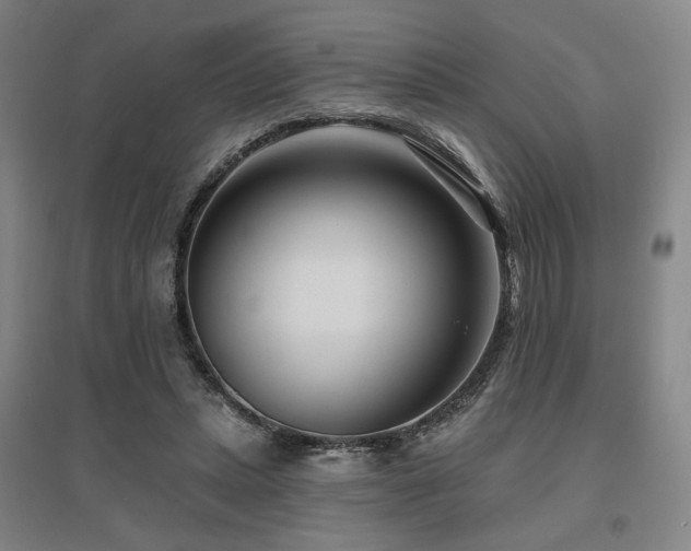 X0000095900447200801111213