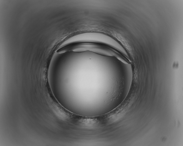 X0000095900449200801111213