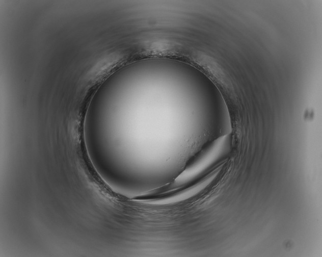 X0000095900450200801111213