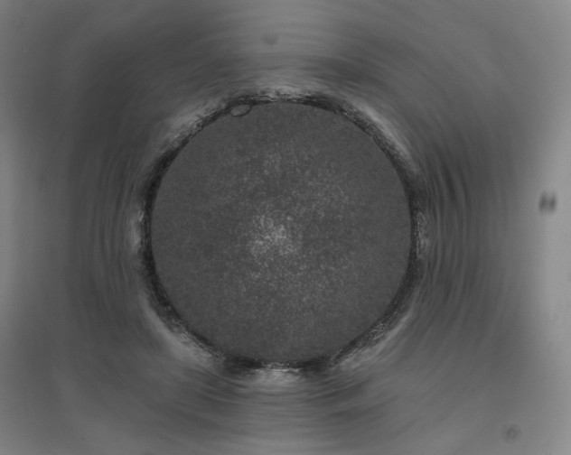 X0000095900451200801111213